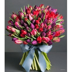 Gran Luxury Tulipani mix 
