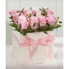 Rose rosa in box