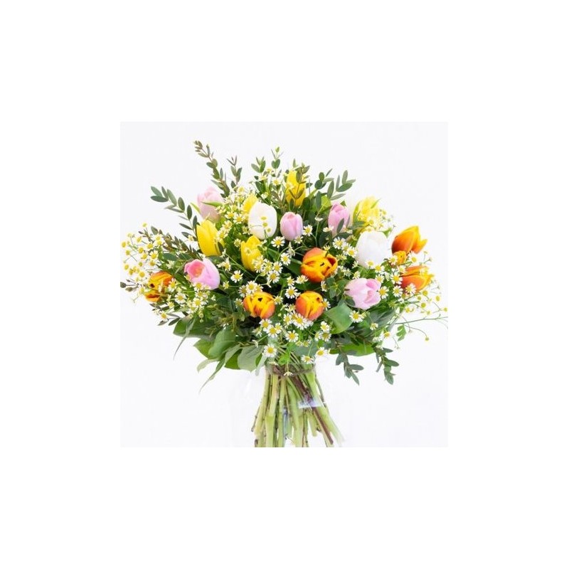 Tulipani e margherite