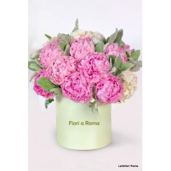 Peonie rosa in Box