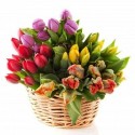 Cesto di 90 tulipani colorati