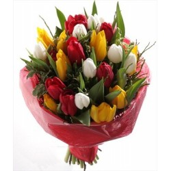 Bouquet di tulipani colorati