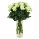 White Tender 